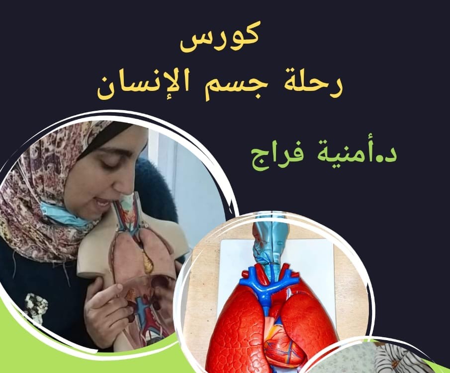رحلة داخل جسم الانسان